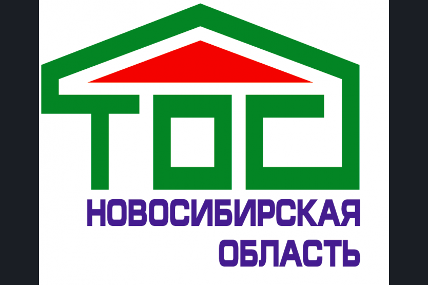 Социально значимые проекты в новосибирской области Картинки СОЦИАЛЬНЫЙ ПРОЕКТ ОРГАНИЗАТОРЫ
