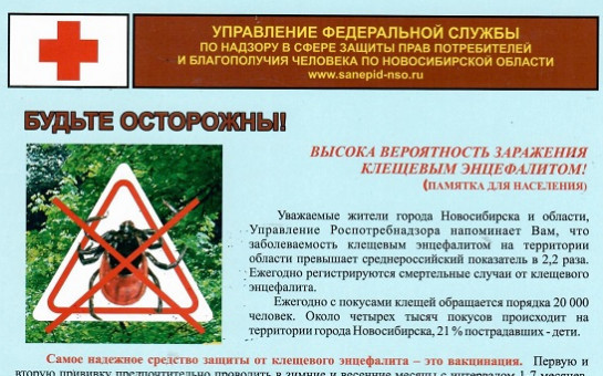 Клещевой энцефалит