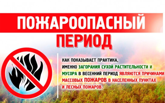 С 11 апреля 2025 года установлено начало пожароопасного сезона на территории Колыванского района